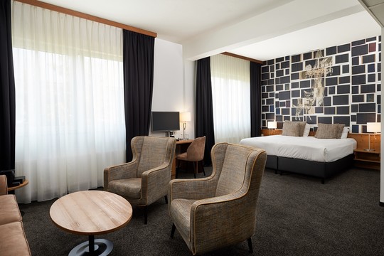 Zimmerbeispiel Hotel Hamburg-Wittenburg